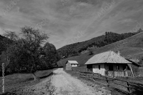 rural scenery in the countryside, Transylvania, Romania © catgrig