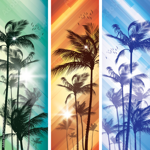 Palm trees at sunset.