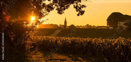 Fotografiet Saint Emilion Vineyard Sunrise, Bordeaux Wine