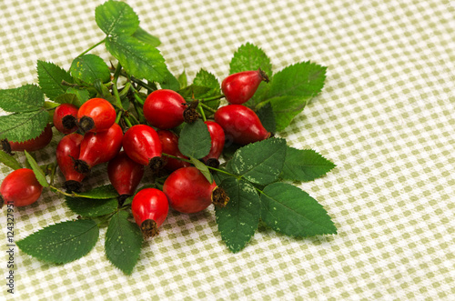 wild rose bush, checkered napkin on the table photo