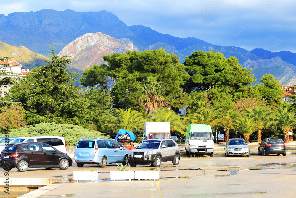 Obraz premium Car parking in front of green trees