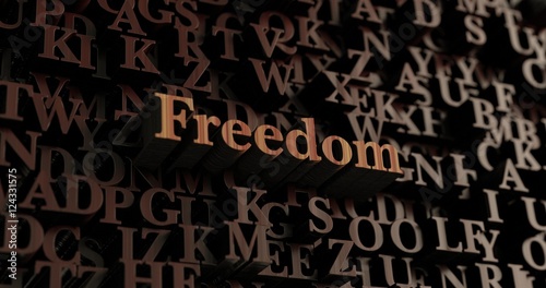 Freedom - Wooden 3D rendered letters/message. Can be used for an online banner ad or a print postcard.