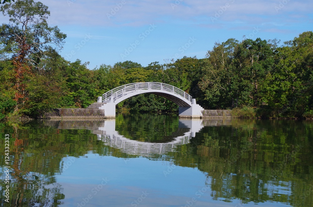 Fototapeta premium 大沼のアーチ橋