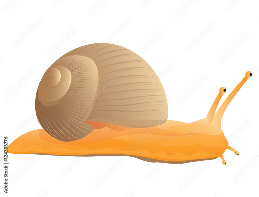 lovely snail vector design lovely snail vector design