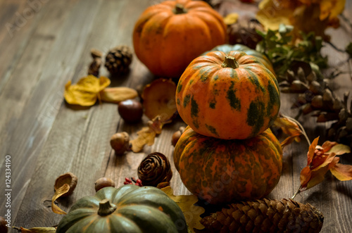 Decorative pumpkins on a wooden background