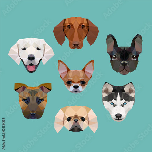 polygonal dogs vector set
