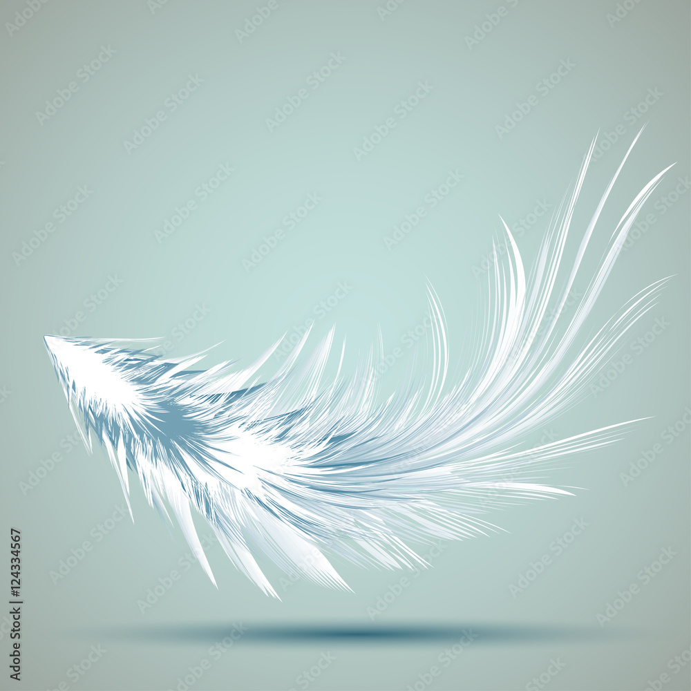 Fototapeta Vector Illustration of Feather