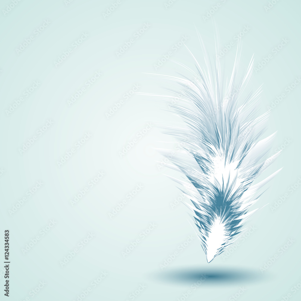 Obraz premium Vector Illustration of Feather