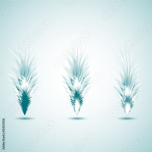 Set of different feathers of birds. Feathers like brushes. Unique brushes.