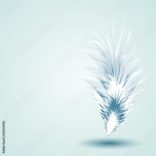 Vector Illustration of Feather © barbyturas