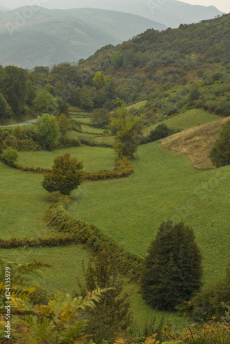 Valle con arboles y monta  as al fondo con los ti  cos colores del oto  a