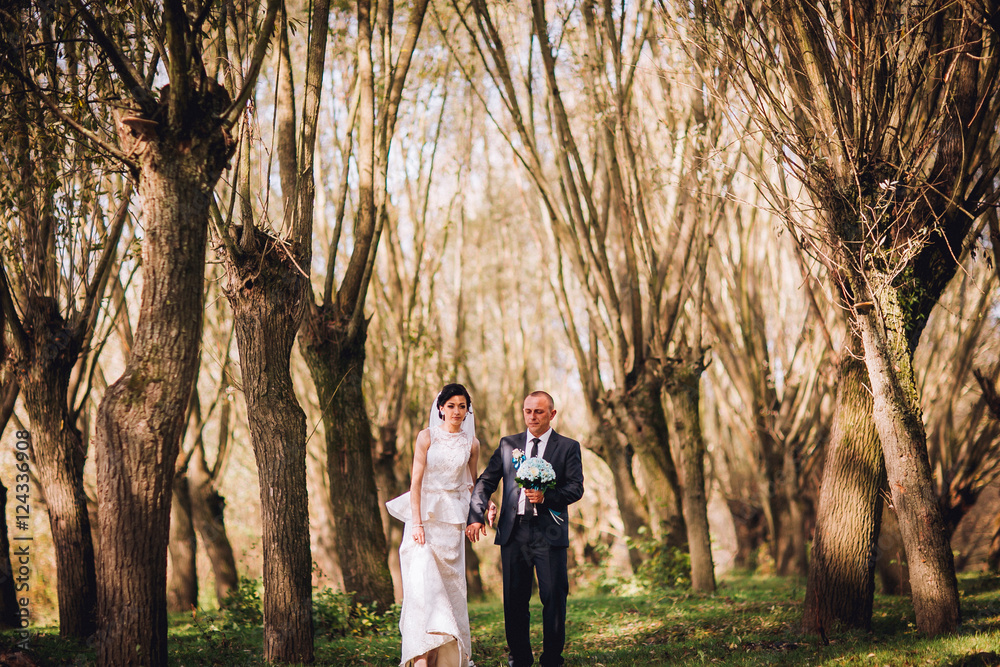 Wedding couple background dry tree and coniferous trees. Kissing man and woman. Middle age newlyweds. Wedding couple background dry tree and coniferous trees. Kissing man and woman. Middle age newlyweds.