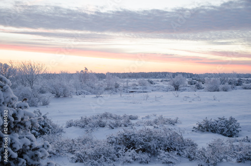 Dawn in a winter landscape