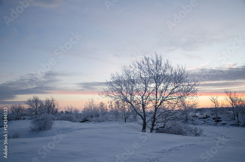 Winter morning before sunrise