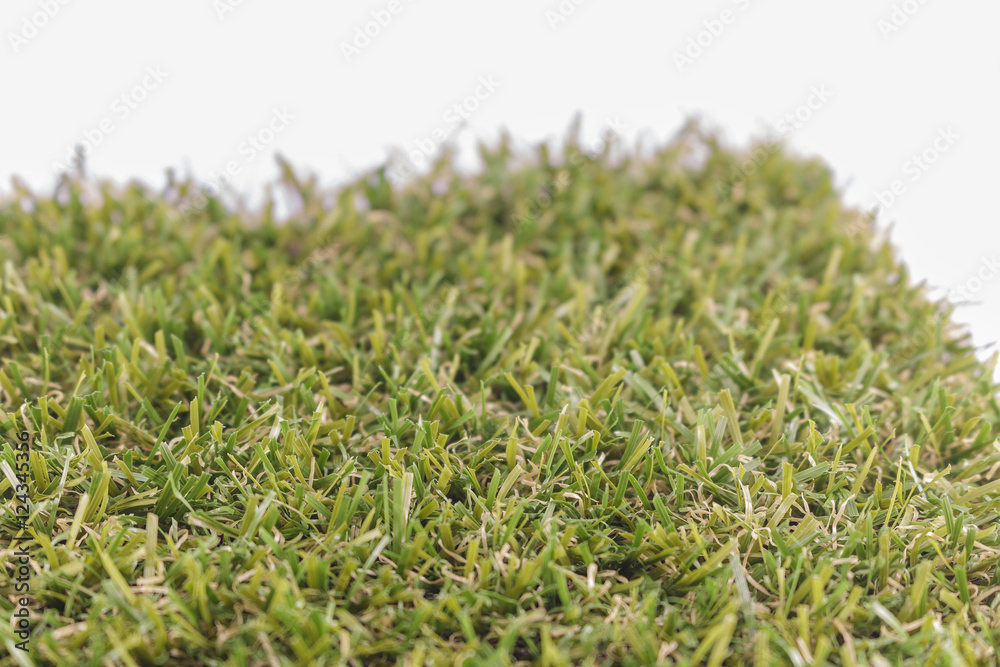 Green grass ,white background. Green grass ,white background.