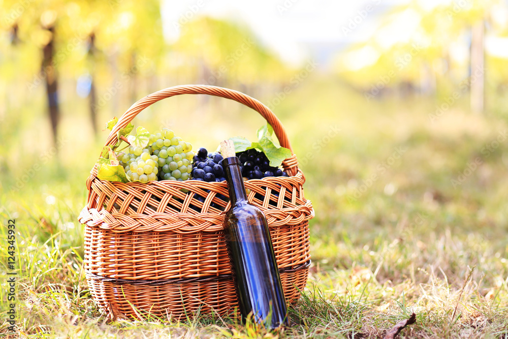 grapes and wine bottle grapes and wine bottle
