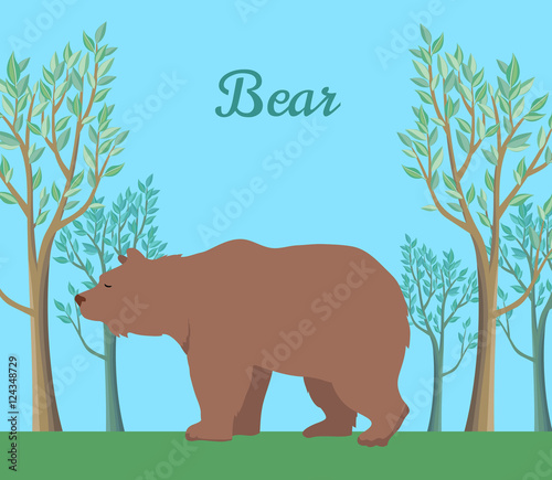 Funny Brown Bear Illustration