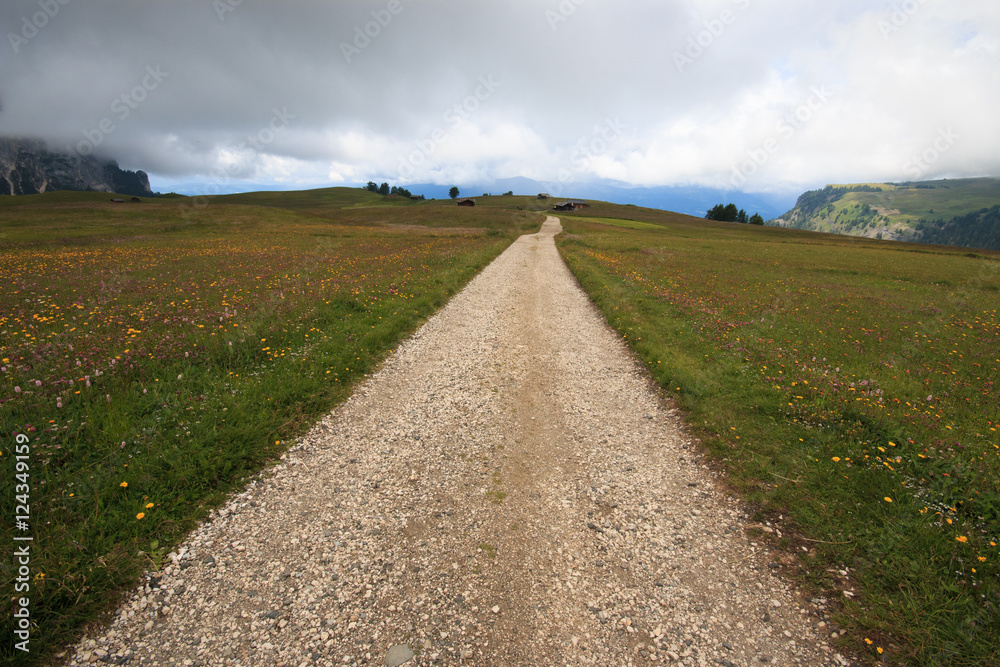 sentiero sull'Alpe di Siusi (Alto Adige)