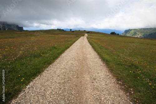 sentiero sull'Alpe di Siusi (Alto Adige)