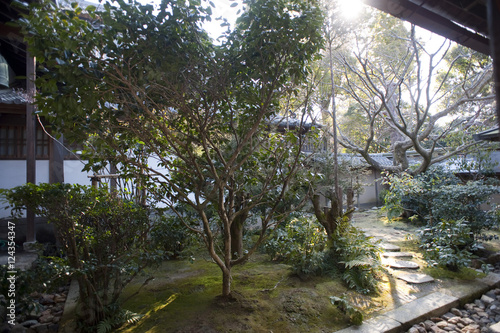 Ryoan-ji gardens