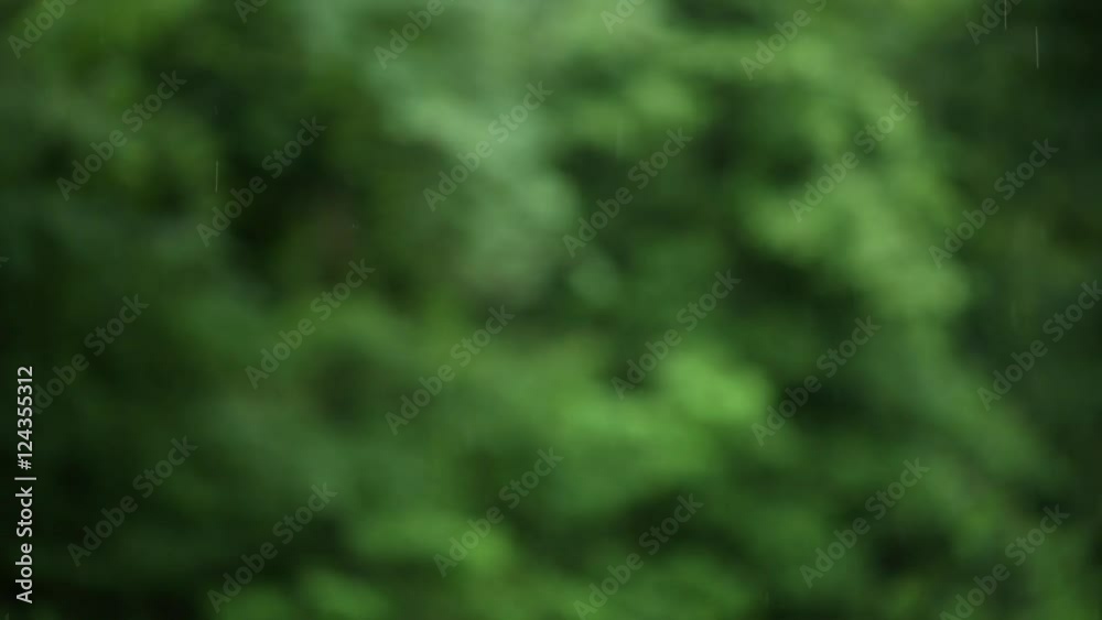 Rain with blurred garden in background, beauty shot pan. Rain with blurred garden in background, beauty shot pan.