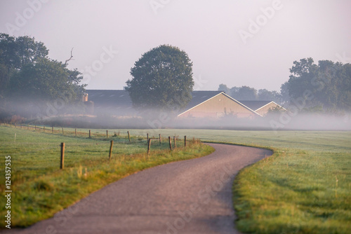 Road in misty rural landscape. Geesteren. Gelderland. The Nether photo