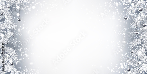 Winter background with fir branches.