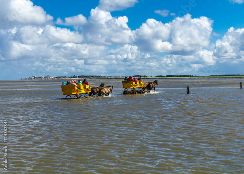 Wattwagenfahrt an der Nordsee photo