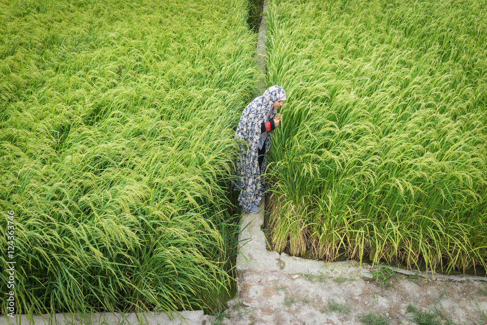 Naklejka premium Beautiful happy Muslim woman in green field