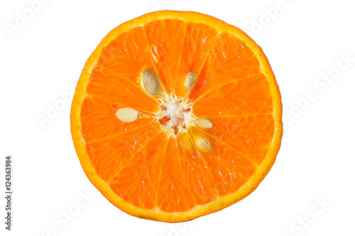 Orange shogun cut in half on a white background.