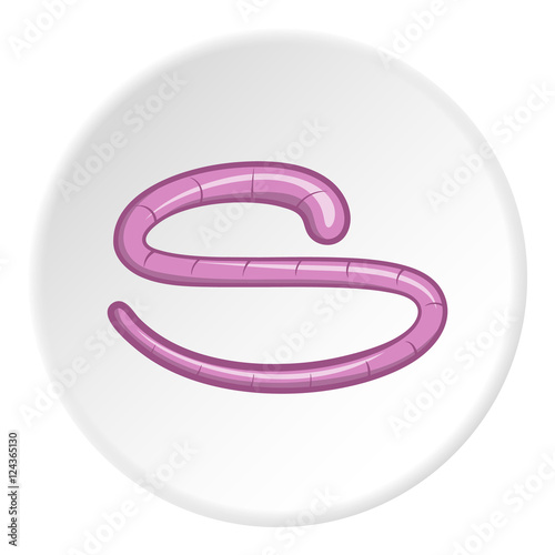 Helminth icon. Cartoon illustration of helminth vector icon for web