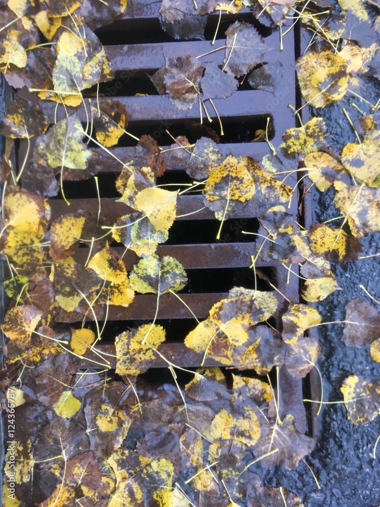 égout Stock Photo Adobe Stock