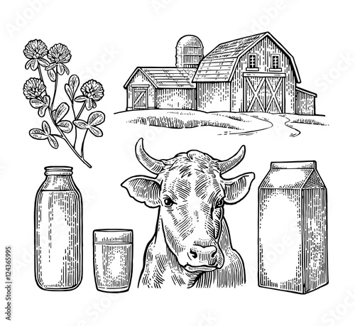 Set Milk farm. Cow head, clover, box carton package, glass and bottle.