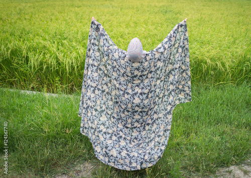 Bild auf Leinwand Beautiful happy Muslim woman in green field