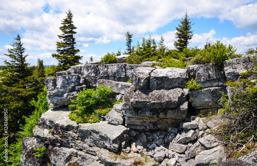 Bear Rocks Preserve