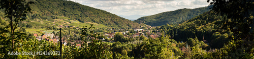 Kaysersberg, son nouveau lotissement, son chateau, sa vallée, son vignoble