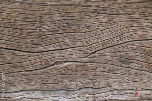 Wood background / Close up texture of wood background.