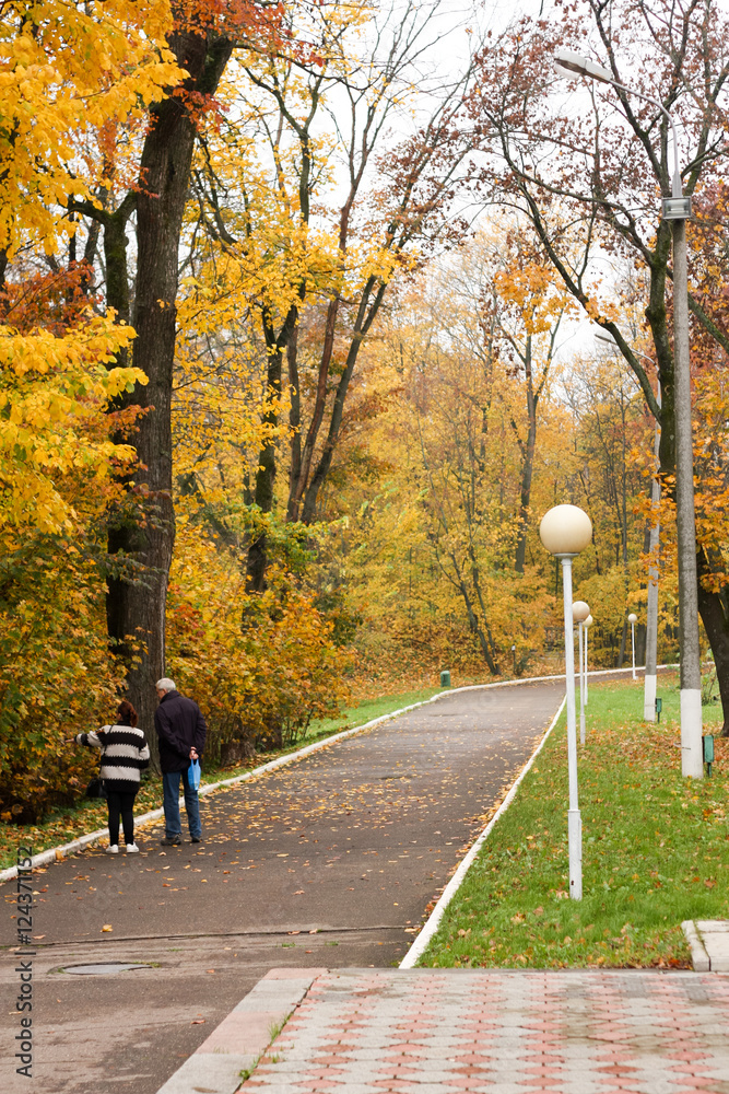 Elderly couple walking in autumn Park