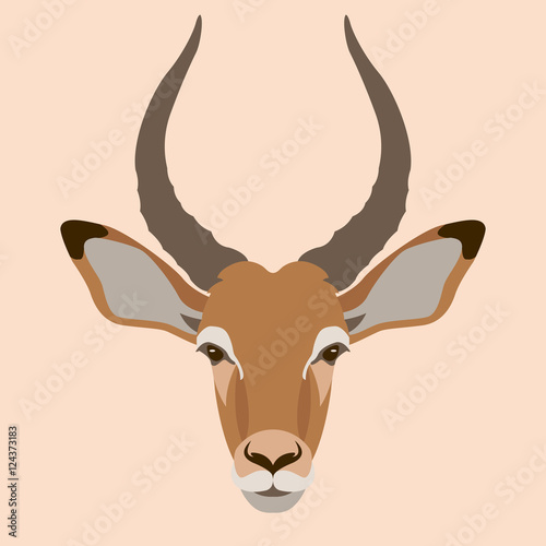 impala buck head face vector illustration style Flat