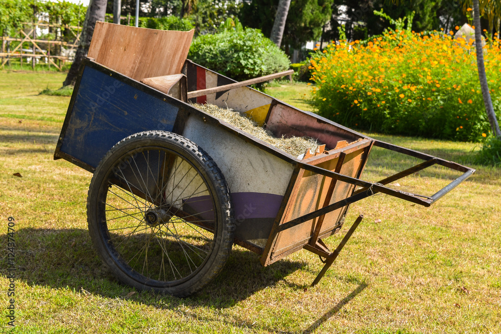 Fototapeta premium flowers