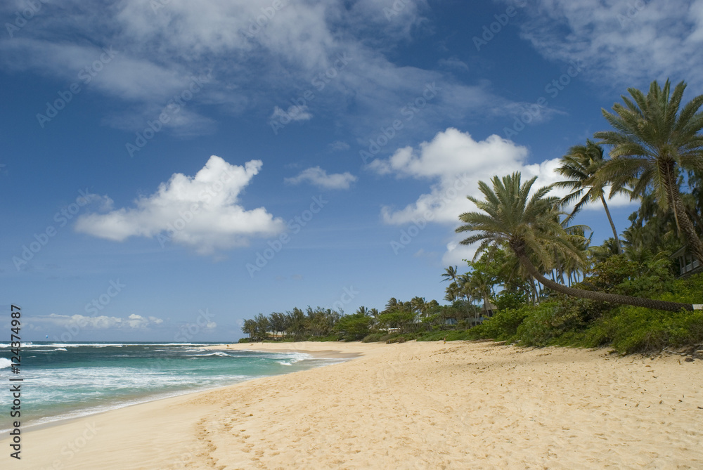 Sunset Beach Hawaii