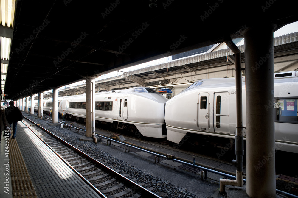 Naklejka premium Japanese Station Platform