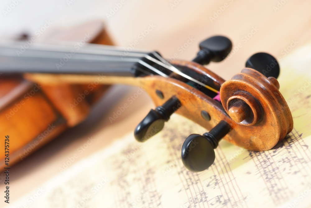 Naklejka premium Violine