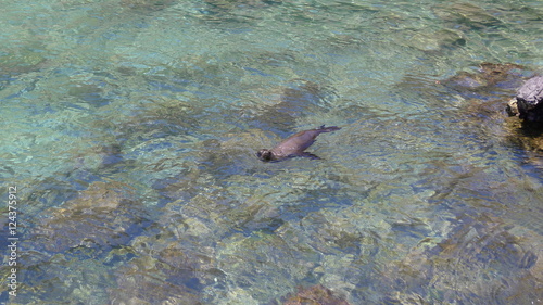 Ecuador, Galapagos, Santa Cruz Island