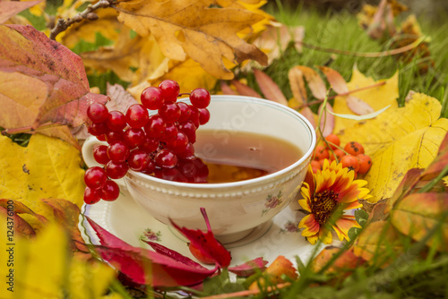 autumn still life with a cup of tea