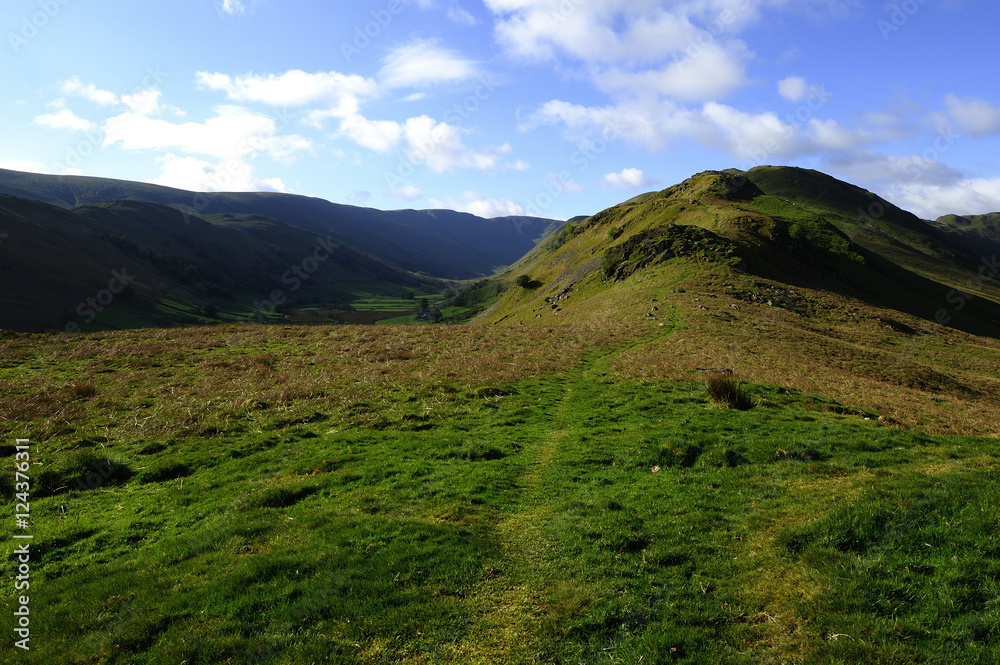 Martindale Common