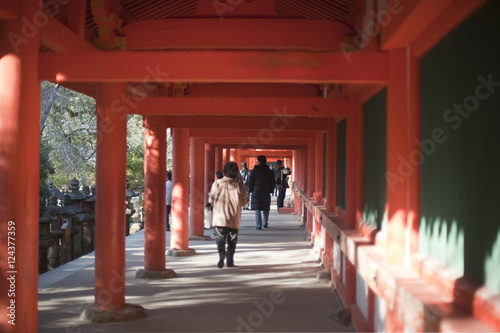Kasuga-taisha walkway © photoeverywhere