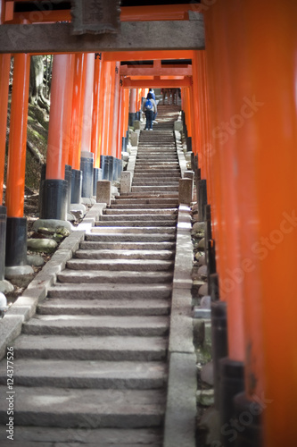 Fototapeta Naklejka Na Ścianę i Meble -  stairway up Inariyama hill
