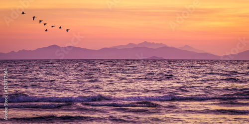 Fototapeta Naklejka Na Ścianę i Meble -  Purple sea after sunset at the beach of Follonica in Tuscany