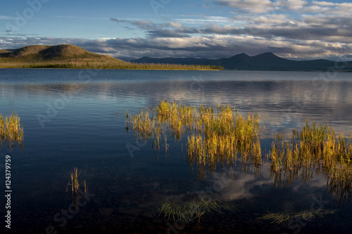 The grass in the lake and mountains on the other side. Lake Labynkyr, Oimyakon region, Yakutia, Russia. © olenyok